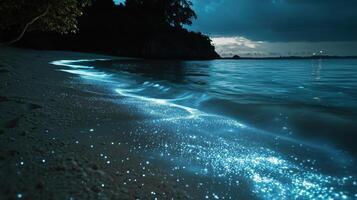 Bioluminescence. Bio luminescent ocean photo