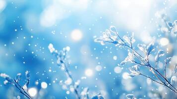 blue bokeh winter banckground with snowflankes photo