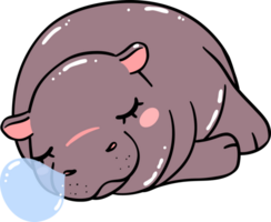 Baby Pygmy Hippo sleeping Cartoon Playful and Grumpy Doodle Character png