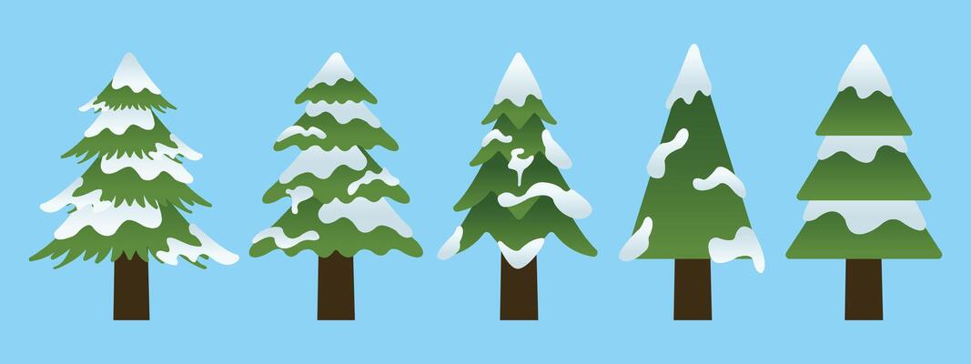 Winter Collection of Green Pine Tree with Snow on Blue Background