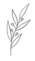 illustration of a twig with leaves and berries. Line drawing, doodle style. Hand-drawn botanical illustration for design and decoration. EPS 10 vector