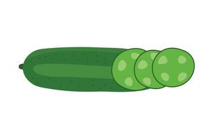 illustration of whole cucumber with slices placed on the side isolated. vector