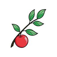 Scarlet Apple A Graphic Representation vector