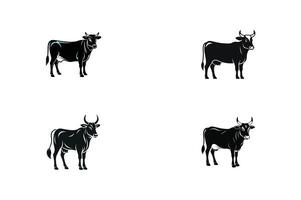 Four black cows standing in different positions vector