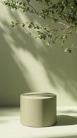 Cylinder podium stage display product minimal design presentation story background photo