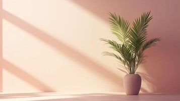 Peach wall cement blank with sun bright shadow from window and pot tree photo