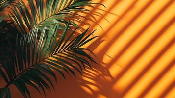 Green palm leaves of the edge frame decoration botanical nature copy space orange background photo