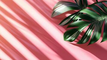 Green monstera leaves of the edge frame with shadow light, copy space solid background photo
