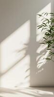 Vivid white wall with shadow sun light from window in living room minimalist story background photo