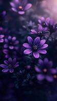 Captivating purple flower dramatic photo effect dark blurred background portrait style