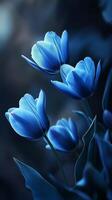 Captivating blue tulip flower dramatic photo effect dark deep blurred background portrait style
