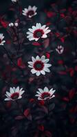 Captivating purple flower dramatic photo effect dark deep blurred background portrait style