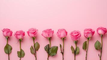 Pink rose flowers lined up at the bottom and blank space at the top photo