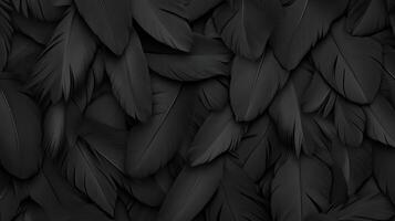 Black feathers wallpaper iphone wallpaper photo