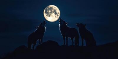 Three wolfs howling at the moon photo