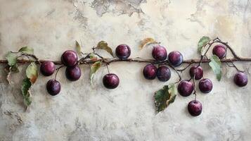 A painting of plums on a branch photo