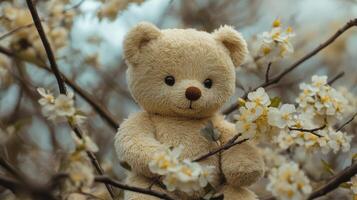 A teddy bear sitting on a branch of a tree photo