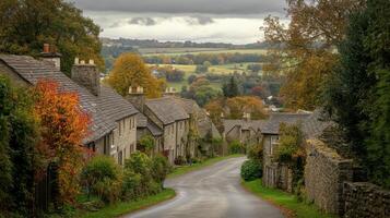 A road with trees on both sides photo