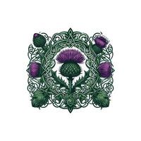 Thistle and celtic design on white background vector