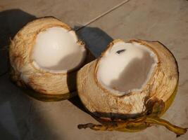 Coconut split in two photo