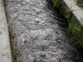 Irrigation channel between rice fields photo