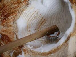 Fresh young coconuts are ready to be served. photo