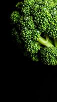 Close-up of a broccoli floret with water droplets photo