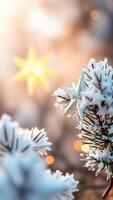 espumoso Navidad estrella en Nevado pino rama foto