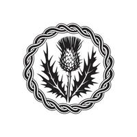 Thistle in a circle with a celtic knot vector