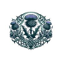 Thistle and celtic knot design vector