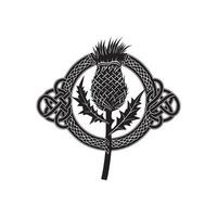Thistle in celtic style with a black and white design vector