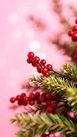 Close-up of Red Berries on a Pine Branch with Pink Bokeh Background photo