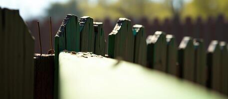 Green Wooden Fence with Sunlight photo