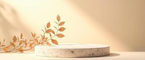 Minimalist Product Display with Natural Elements photo