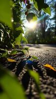 Sunbeams Through Green Leaves on a Cobblestone Path photo