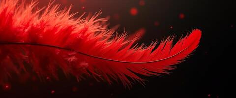 Single Red Feather on Black Background with Red Bokeh photo