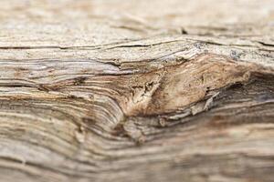 Background Realistic texture of objects around our lives photo