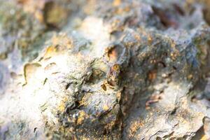 Background Realistic texture of objects around our lives photo