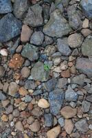 Background Realistic texture of objects around our lives photo
