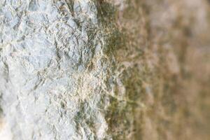 Background Realistic texture of objects around our lives photo
