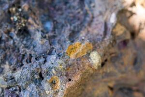 Background Realistic texture of objects around our lives photo