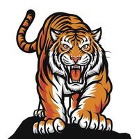 illustration of a tiger with its mouth open and its claws out vector