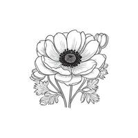 Anemone flower coloring page vector