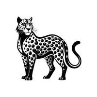 A black and white leopard is standing in front of a white background vector