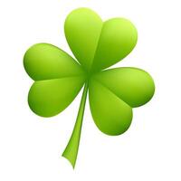 leaf clover isolated on white background vector