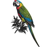 A parrot on the tree brance on flying mode vector