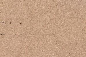 Natural Cork Board Texture Background with Fine Granular Surface photo