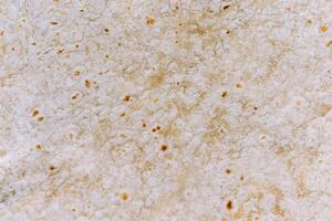 Close-Up Texture of Lavash or Matzah - Seamless Pattern Background photo