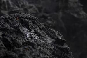 Powerful Ocean Waves Crashing on Black Rocks photo