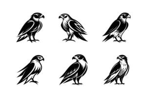 Set of black and white images of a hawk vector